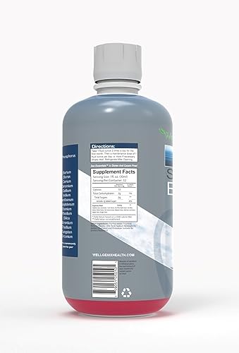 Wellgenix Sea Essentials Liquid Multivitamin with Coral Calcium & Sea Minerals – Sea Berry Flavor (Pack of 2)