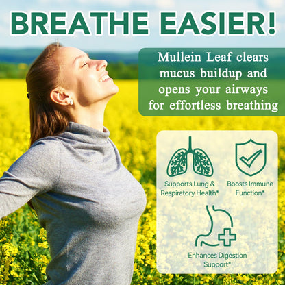 WHLH & Well-Being Mullein Leaf Gummies 2-Pack