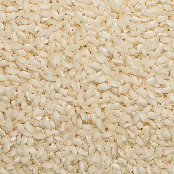 Arborio Rice