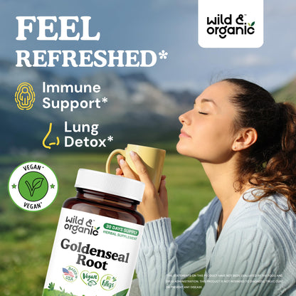 Wild & Organic Goldenseal Root Capsules 1000mg – Immune & Lung Support (60 capsules) – Vegan, Non-GMO