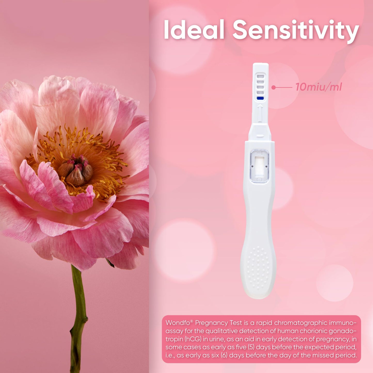 Wondfo Early Result Pregnancy Test Sticks – 6 Days Before Missed Period | 10 Pack At-Home Test