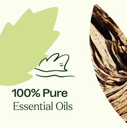 Plant Therapy Wood Spice Essential Oil Blend 10 mL (Pack of 2) | 100% Pure & Therapeutic Grade