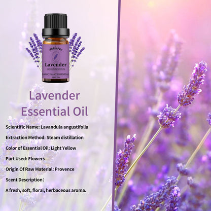 Yethious Lavender Vanilla Sandalwood Essential Oil - 100% Pure Organic Lavender Oil for Diffuser, Aromatherapy, Skin & Massage