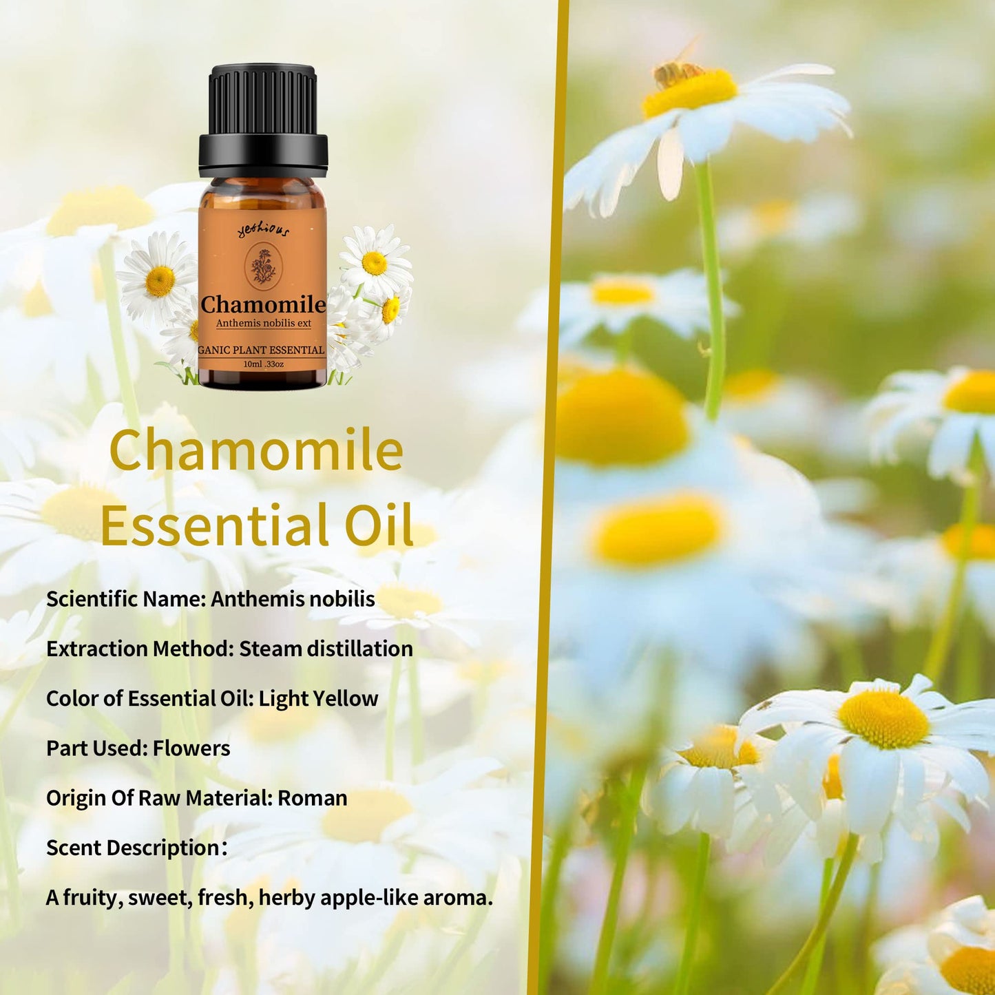 Yethious Jasmine Chamomile Sandalwood Essential Oil Set – Organic 3 Pack | 100% Pure