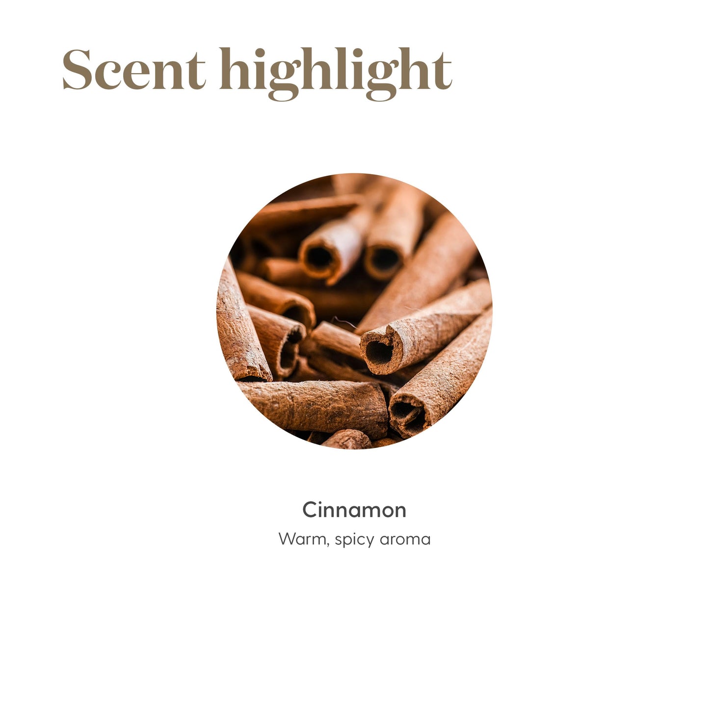 Young Living Cinnamon Bark Vitality 5ml | Aromatic Culinary Spice & Immune Support