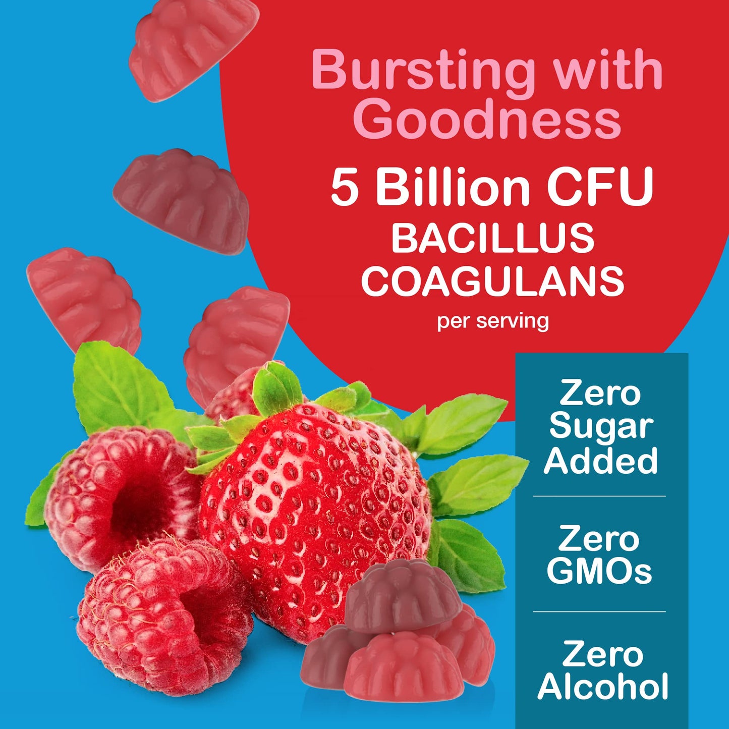 YUM-V'S Zero Sugar Probiotic Gummies | Digestive Health & Gut Support - Sugar Free Probiotics