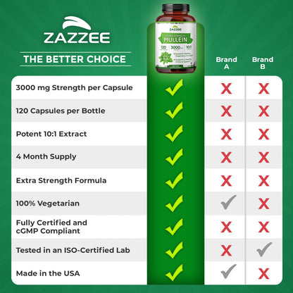 Zazzee Extra Strength Mullein 3000 mg – 120 Veg Capsules (4 Month) | 10:1 Extract