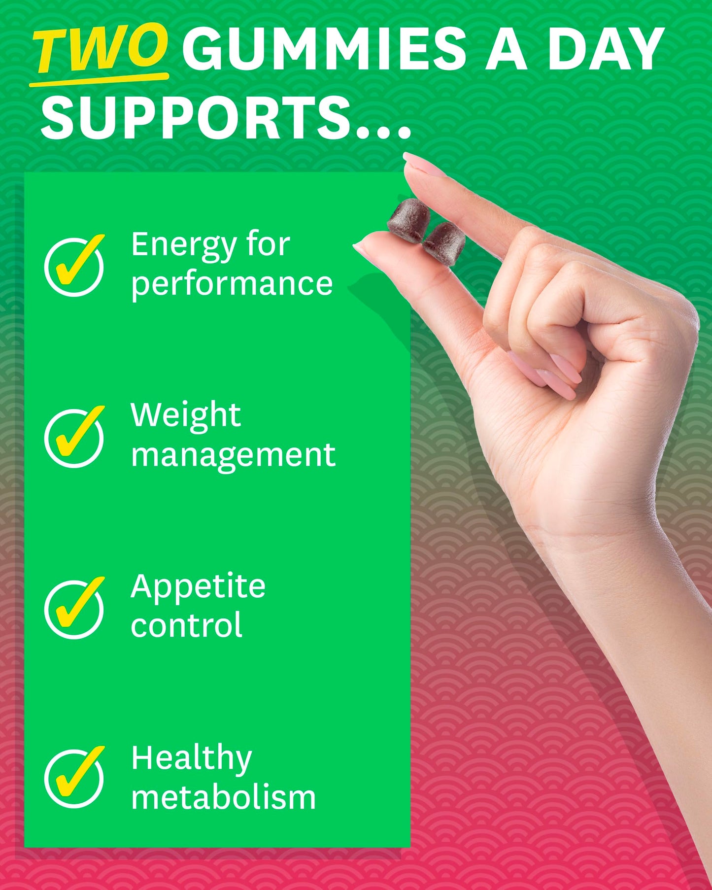 Zenwise Health Fat Burner Gummies – Appetite Suppressant for Weight Loss with Green Tea Extract, Garcinia Cambogia & B12 (60ct Apple Gummies)