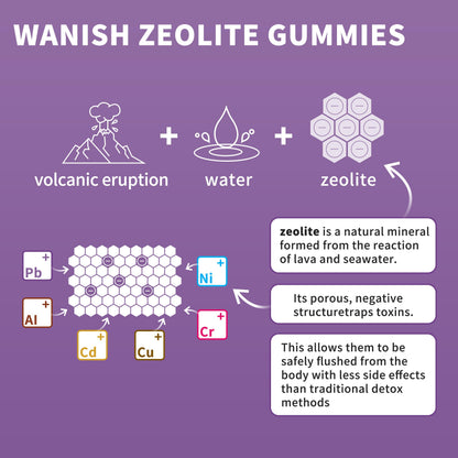 Zeolite Gummies for Adults - Immune, Gut & Liver Support | Vegan, Non-GMO, Sugar-Free Apple Flavor | 60 Count